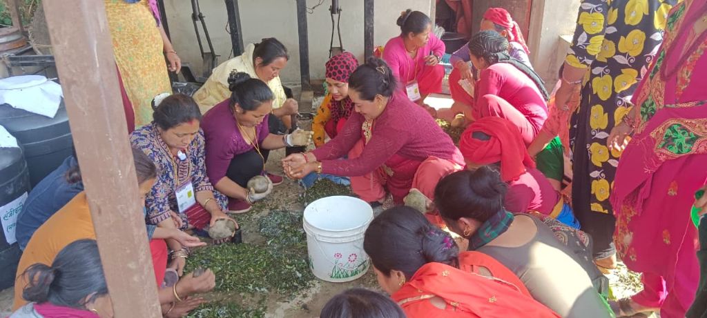 Field visit agriculture programme